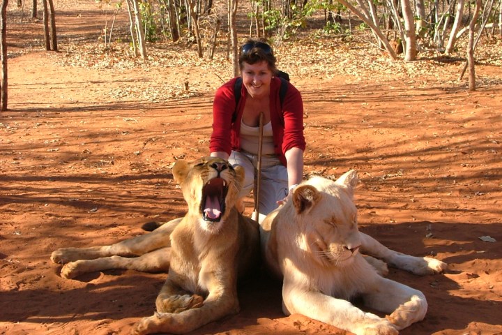 African-Lion-Encounter