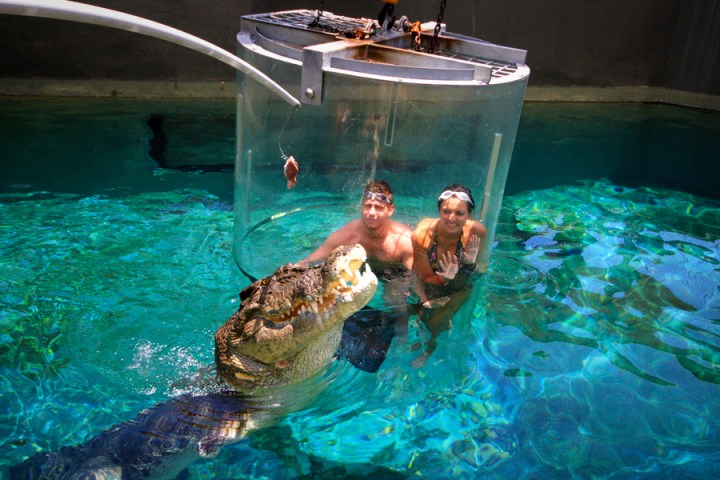 Crocodile-Cage-Diving-Victoria-Falls