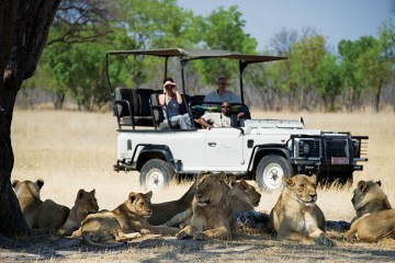 Hwange-Safari-Lions