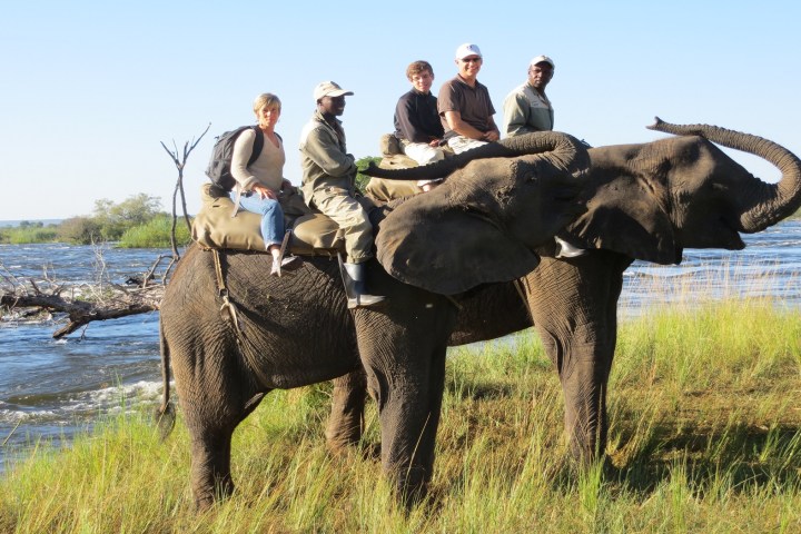 Safari-on-Elephant-Back