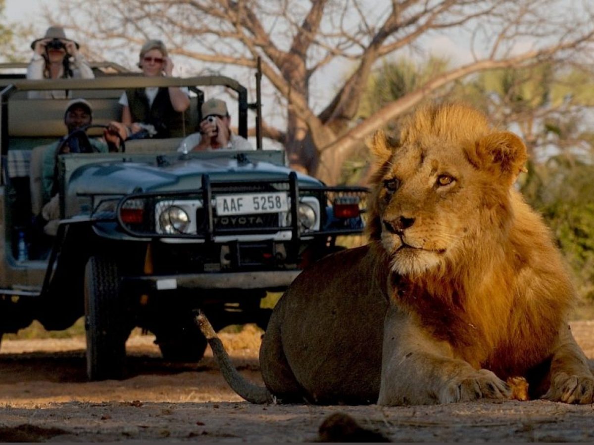 Victoria-Falls-Game-Drive