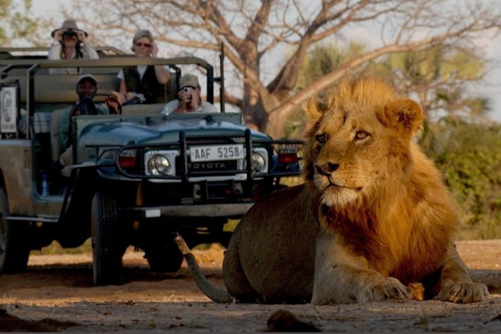 Victoria-Falls-Game-Drive