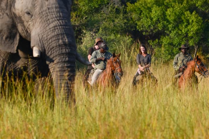 Victoria-Falls-on-Horseback