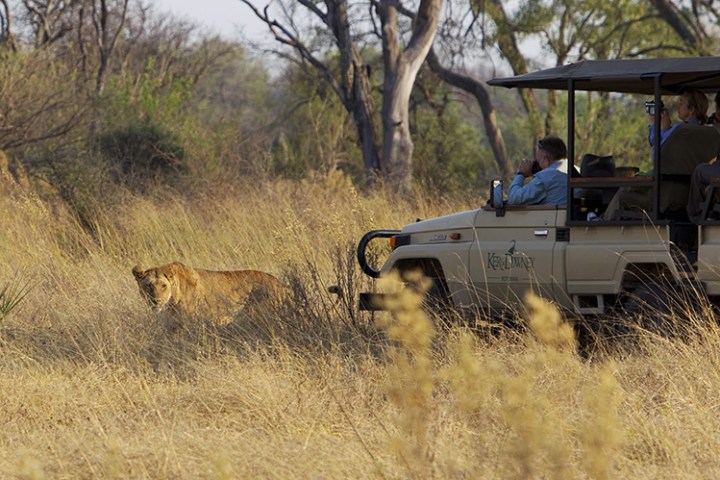 Zimbabwe-Night-Game-Drive